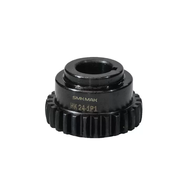 HK 24-1P1